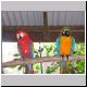 Cairns - Kuranda - Bird Zoo 11).jpg